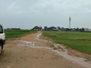 Plot Area in  Plot at Kanke – for Sale