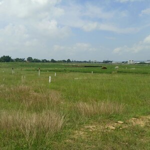 Plot Area in  Plot at Kanke – for Sale