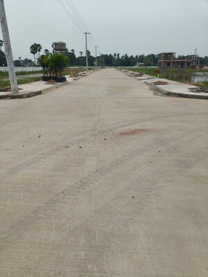 Plot Area in  Plot at Pathapadu – for Sale