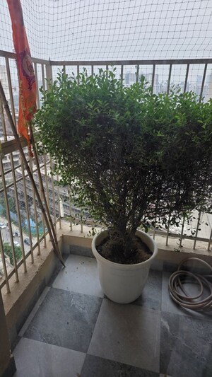 Balcony in 3 BHK Apartment at Ajnara Homes, Sector 16b Greater Noida – for Rent