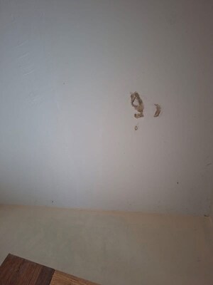 Room in 2 BHK Apartment at Kyraa Ariso Apartment, Chembur – for Rent