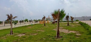 Plot – Garden View at Jait - for Sale