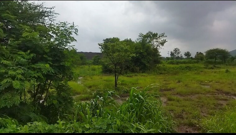 Resale 19000 Sq.Ft. Plot in Bhare Pune - 10642596