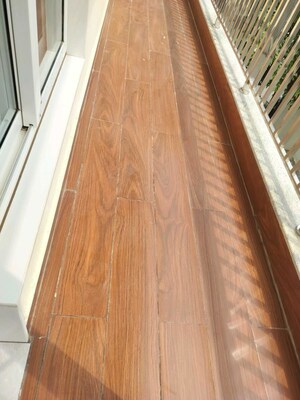 Balcony in 3 BHK Builder Floor at Sector 22 – for Rent