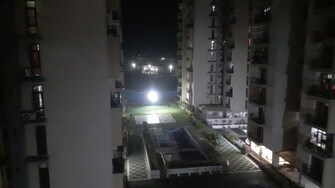 2 BHK Apartment For Rent in Omega Orchid Heights in Faizabad Road, Lucknow