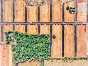 Plot Area in  Plot at Tagarapuvalasa – for Sale