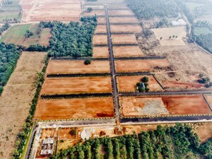 Plot Area in  Plot at Tagarapuvalasa – for Sale