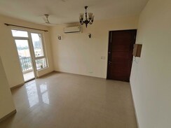 3 BHK +Builder Floor For Rent in Sector 23