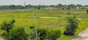  Plot For Sale in Sadashivpet