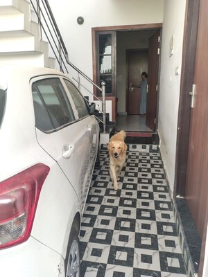 Staircase in 2 BHK Independent House at Naubasta Kala – for Rent