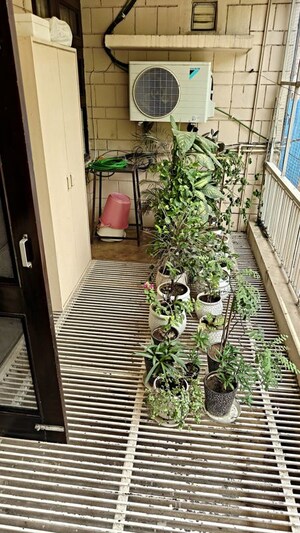 Balcony in 3 BHK Builder Floor at Cc Colony – for Sale