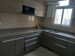 Kitchen in 3 BHK Builder Floor at Sector 22 – for Rent