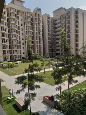 3.5 BHK +  1232 Sq.Ft. Apartment in BPTP Park Elite Premium