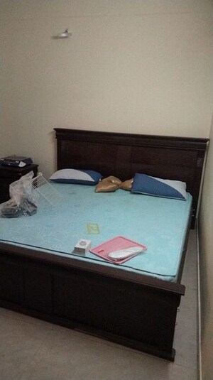 3.5 BHK Apartment For Rent in Bariatu