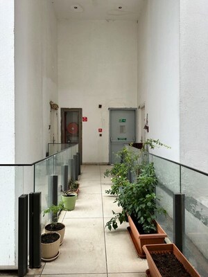 Kitchen in 2 BHK Apartment at Ireo The Grand Arch, Sector 58 – for Rent