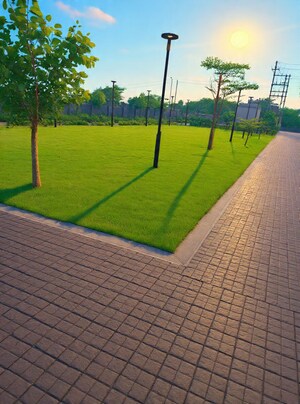  Plot For Sale in Apollo Golf Links, Kanadiya