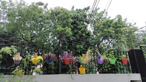 3 BHK Builder Floor – Garden View at Sector 23a - for Rent