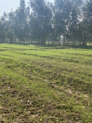 Plot Area in  Plot at Khushalipur – for Sale