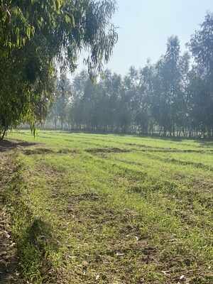  Plot For Sale in Khushalipur