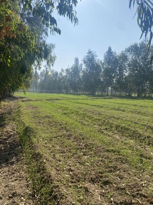 Plot Area in  Plot at Khushalipur – for Sale