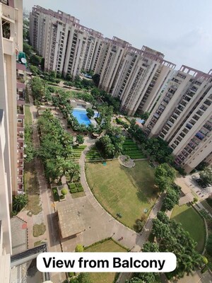 3 BHK Apartment For Rent in Orchid Petals, Sector 49