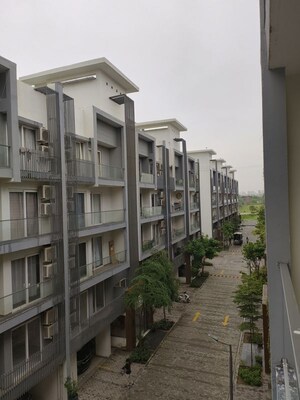 3 BHK Apartment For Rent in M3M Soulitude, Sector 89