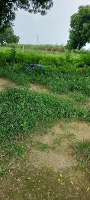 Plot Area in  Plot at Pachgain Khera – for Sale