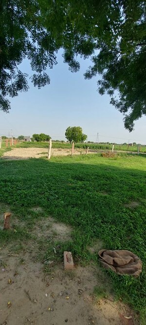 Plot Area in  Plot at Pachgain Khera – for Sale