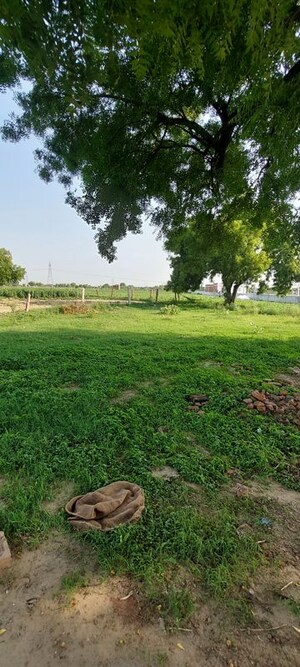  Plot – Garden View at Pachgain Khera - for Sale