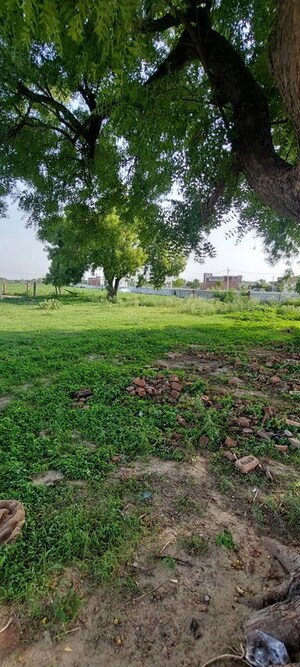 Plot Area in  Plot at Pachgain Khera – for Sale
