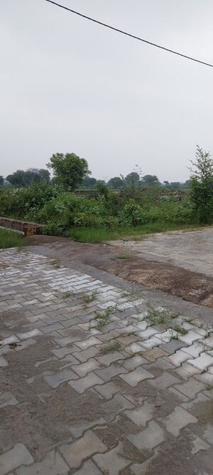 Plot Area in  Plot at Gwalior Road – for Sale
