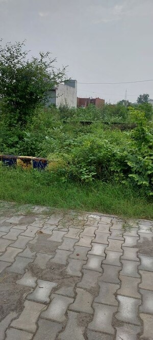  Plot – Exterior View View at Gwalior Road - for Sale