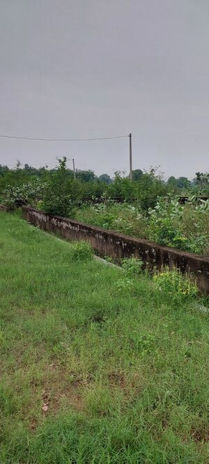 Plot Area in  Plot at Gwalior Road – for Sale