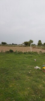 100 Sq.Yd. Plot in Dhanauli