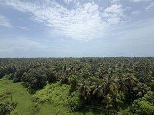 Plot Area in 1 BHK Apartment at Malvan – for Sale