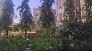 3.5 BHK Apartment – Exterior View View at Kulesara Noida - for Rent