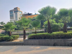 3.5 BHK Apartment – Garden View at Amrapali Platinum, Sector 119 - for Sale
