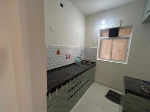 Bathroom in 1 BHK Apartment at Godrej Green Vistas, Mahalunge – for Rent