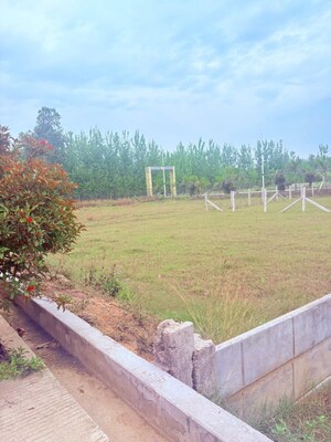  Plot For Sale in Badam Wala