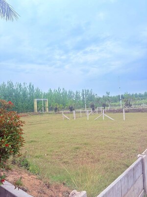 Plot Area in  Plot at Badam Wala – for Sale