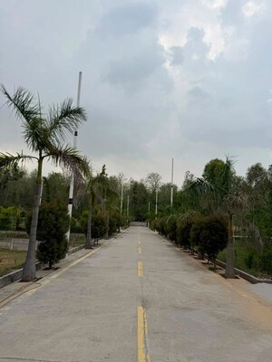 Plot Area in  Plot at Badam Wala – for Sale