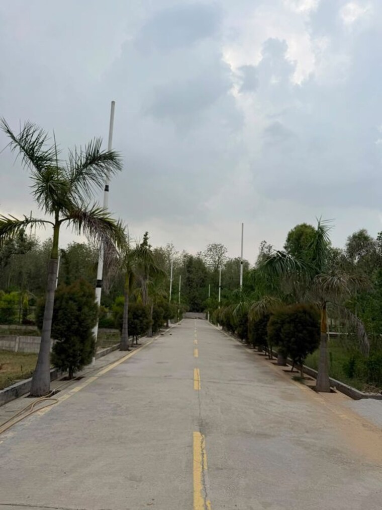 undefined, badam wala  550 Sq.Ft. Plot In Badam Wala Dehradun 10682250