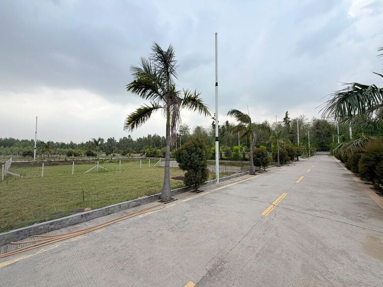 Garden, badam wala  550 Sq.Ft. Plot In Badam Wala Dehradun 10682250