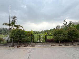  Plot – Exterior View View at Badam Wala - for Sale