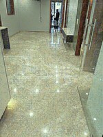 2 BHK 800 Sq.Ft. Builder Floor in Tagore Garden