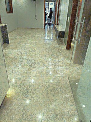 2 BHK Builder Floor For Rent in Tagore Garden