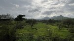 5 Acre Land in Adgaon