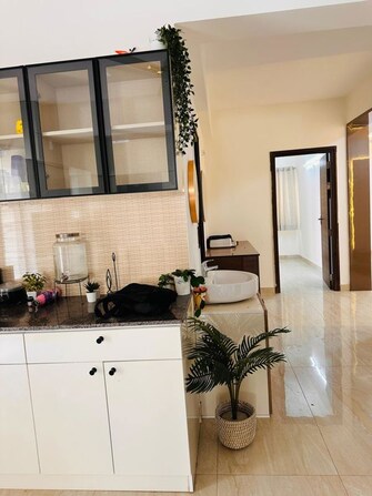 3 BHK +  1816 Sq.Ft. Apartment in Lakshmi Cadillac