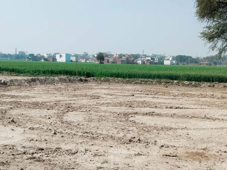 undefined, bhopani  51 Sq.Yd. Plot In Bhopani Faridabad 10682595