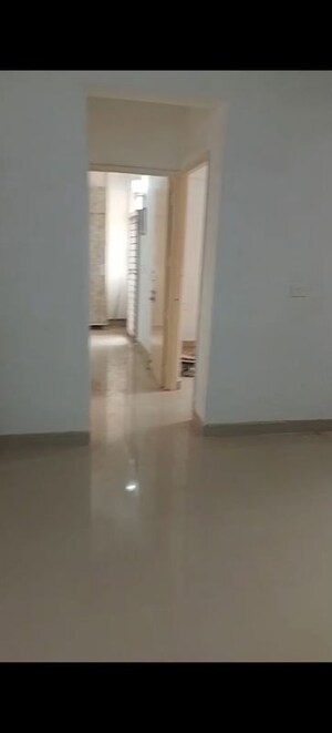 2 BHK Apartment For Rent in Landmark The Homes 81, Sector 81